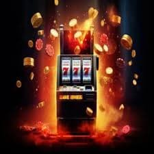 5588 bet 5588 bet